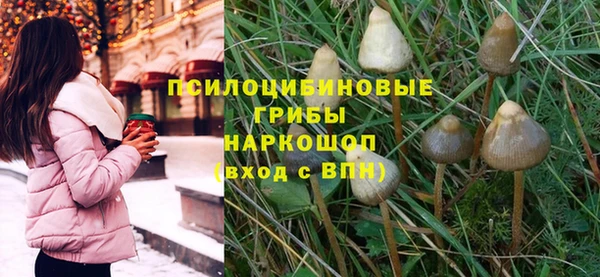 МДМА Богданович