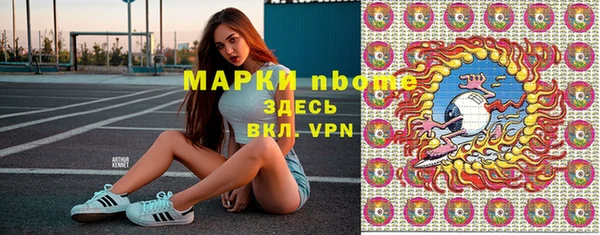 гидра Богородицк