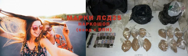 гидра Богородицк