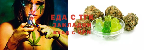 гидра Богородицк