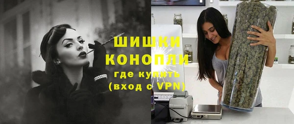 гидра Богородицк