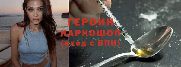 гидра Богородицк
