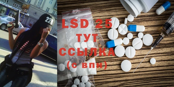 гидра Богородицк