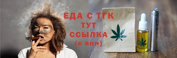 гидра Богородицк