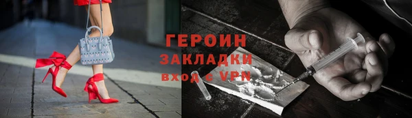 гидра Богородицк