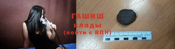 гидра Богородицк