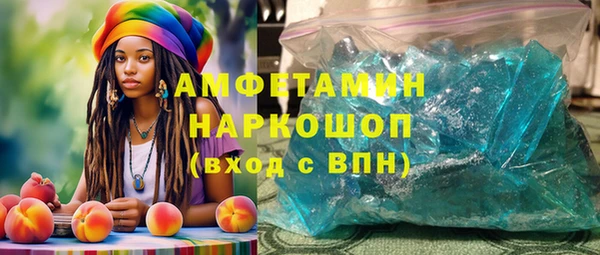 гидра Богородицк