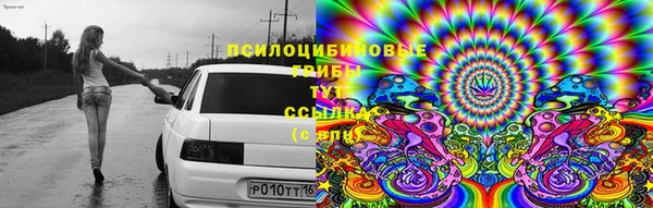 MDMA Богородск