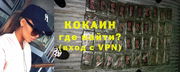 гидра Богородицк