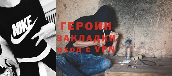 гидра Богородицк