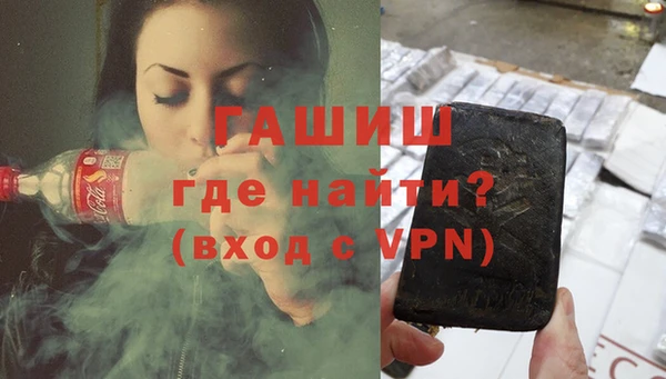 гидра Богородицк